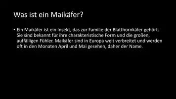 Vorschau - Arbeitsblätter - AB mit Fragen zum Thema "Maikäfer" + Lösungsblatt + Infografik - Seite 3