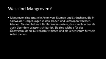 Vorschau - Arbeitsblätter - AB mit Fragen zum Thema "Mangroven" + Lösungsblatt + Infografik - Seite 3