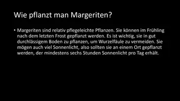 Vorschau - Arbeitsblätter - AB mit Fragen zum Thema "Margeriten" + Lösungsblatt - Seite 3