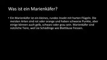 Vorschau - Arbeitsblätter - AB mit Fragen zum Thema "Marienkäfer" + Lösungsblatt + Infografik - Seite 3