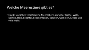 Vorschau - Arbeitsblätter - AB mit Fragen zum Thema "Meerestiere" + Lösungsblatt + Infografik - Seite 3