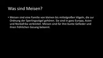 Vorschau - Arbeitsblätter - AB mit Fragen zum Thema "Meisen" + Lösungsblatt + Infografik - Seite 3