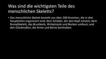 Vorschau - Arbeitsblätter - AB mit Fragen zum Thema "Der menschliche Körperbau" + Lösungsblatt + Infografiken - Seite 3