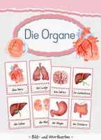 Vorschau - Fördermaterial/Inklusion - Die Organe - Bildkarten (DAF/DAZ) Flashcards - Deckblatt