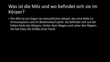 Vorschau - Arbeitsblätter - AB mit Fragen zum Thema "Milz" + Lösungsblatt + Infografik - Seite 3