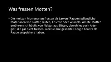 Vorschau - Arbeitsblätter - AB mit Fragen zum Thema "Motten" + Lösungsblatt - Seite 3
