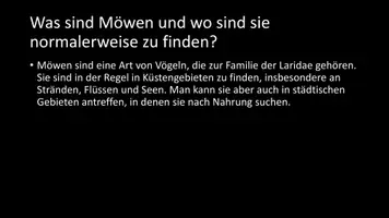 Vorschau - Arbeitsblätter - AB mit Fragen zum Thema "Möwen" + Lösungsblatt - Seite 2