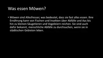 Vorschau - Arbeitsblätter - AB mit Fragen zum Thema "Möwen" + Lösungsblatt - Seite 3