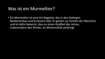 Vorschau - Arbeitsblätter - AB mit Fragen zum Thema "Murmeltiere" + Lösungsblatt + Infografik - Seite 3