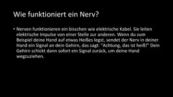 Vorschau - Arbeitsblätter - AB mit Fragen zum Thema "Nerven" + Lösungsblatt + Infografik - Seite 3