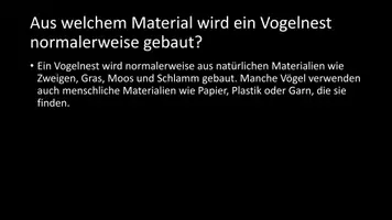 Vorschau - Arbeitsblätter - AB mit Fragen zum Thema "Nester" + Lösungsblatt - Seite 3