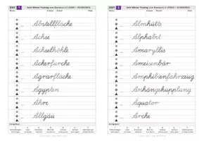 Vorschau - Arbeitsblätter - Schreibtraining in LA - Wörter mit schwierigen Buchstaben - Seite 2