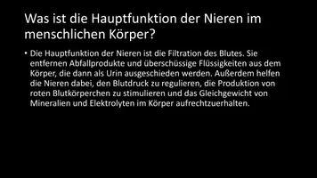 Vorschau - Arbeitsblätter - AB mit Fragen zum Thema "Nieren" + Lösungsblatt + Infografik - Seite 3