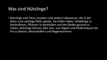 Vorschau - Arbeitsblätter - AB mit Fragen zum Thema "Nützlinge" + Lösungsblatt + Infografik - Seite 3