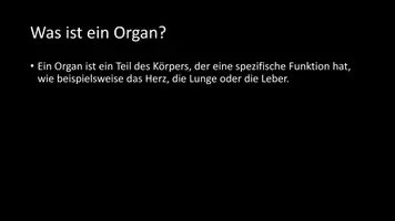 Vorschau - Arbeitsblätter - AB mit Fragen zum Thema "Organe" + Lösungsblatt + Infografik - Seite 3