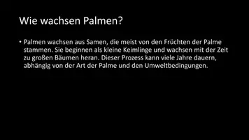Vorschau - Arbeitsblätter - AB mit Fragen zum Thema "Palmen" + Lösungsblatt - Seite 3