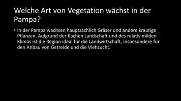 Vorschau - Arbeitsblätter - AB mit Fragen zum Thema "Pampa" + Lösungsblatt - Seite 3