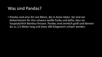 Vorschau - Arbeitsblätter - AB mit Fragen zum Thema "Pandas" + Lösungsblatt + Infografik - Seite 3