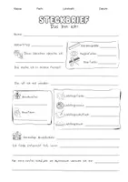 Vorschau - Arbeitsblätter - Steckbrief zum Kennenlernen - Gymnasium 5. Klasse - Seite 1
