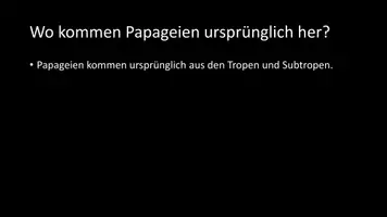 Vorschau - Arbeitsblätter - AB mit Fragen zum Thema "Papageien" + Lösungsblatt + Infografik - Seite 3