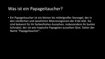 Vorschau - Arbeitsblätter - AB mit Fragen zum Thema "Papageitaucher" + Lösungsblatt - Seite 2