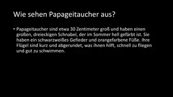 Vorschau - Arbeitsblätter - AB mit Fragen zum Thema "Papageitaucher" + Lösungsblatt - Seite 3