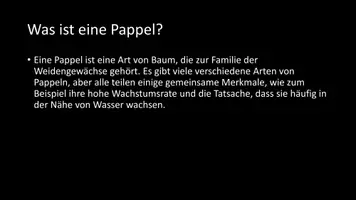 Vorschau - Arbeitsblätter - AB mit Fragen zum Thema "Pappeln" + Lösungsblatt - Seite 2