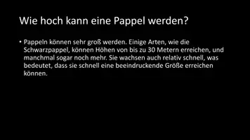 Vorschau - Arbeitsblätter - AB mit Fragen zum Thema "Pappeln" + Lösungsblatt - Seite 3