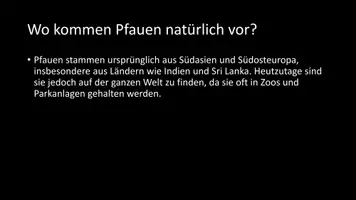 Vorschau - Arbeitsblätter - AB mit Fragen zum Thema "Pfau" + Lösungsblatt - Seite 3