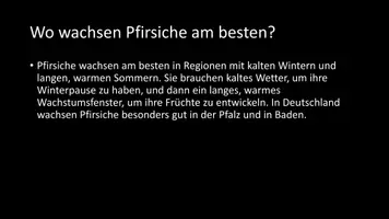 Vorschau - Arbeitsblätter - AB mit Fragen zum Thema "Pfirsich" + Lösungsblatt - Seite 3