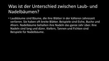 Vorschau - Arbeitsblätter - AB mit Fragen zum Thema "Pflanzenarten" + Lösungsblatt - Seite 2