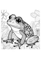 Vorschau - Mal- und Bastelvorlagen - Frosch zum Anmalen mit Mustern Freebie - Seite 1
