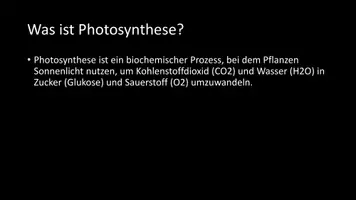 Vorschau - Arbeitsblätter - AB mit Fragen zum Thema "Photosynthese" + Lösungsblatt + Mindmap + Infografik - Seite 3