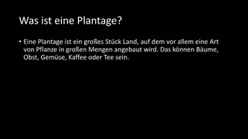 Vorschau - Arbeitsblätter - AB mit Fragen zum Thema "Plantagen" + Lösungsblatt + Infografik - Seite 3