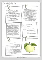 Vorschau - Arbeitsblätter - Äpfel und Apfelbaum im Herbst: Wortschatzheft und Wortspeicher - Seite 1