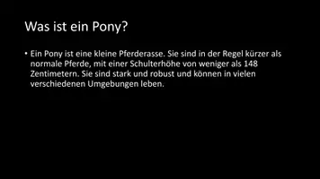 Vorschau - Arbeitsblätter - AB mit Fragen zum Thema "Pony" + Lösungsblatt + Infografik - Seite 3