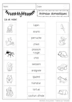 Aperçu - Feuilles d'exercices - Vocabulaire: Animaux domestiques - Page 1