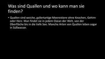 Vorschau - Arbeitsblätter - AB mit Fragen zum Thema "Quallen" + Lösungsblatt + Infografik - Seite 3