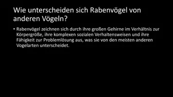 Vorschau - Arbeitsblätter - AB mit Fragen zum Thema "Rabenvögel" + Lösungsblatt - Seite 3