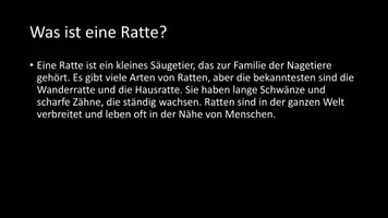 Vorschau - Arbeitsblätter - AB mit Fragen zum Thema "Ratten" + Lösungsblatt + Infografik - Seite 3