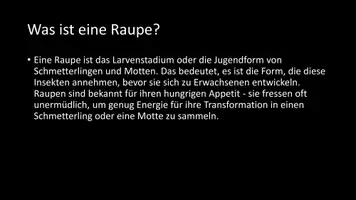 Vorschau - Arbeitsblätter - AB mit Fragen zum Thema "Raupen" + Lösungsblatt - Seite 2