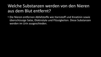 Vorschau - Arbeitsblätter - AB mit Fragen zum Thema "Reinigung des Blutes durch die Niere" + Lösungsblatt - Seite 3