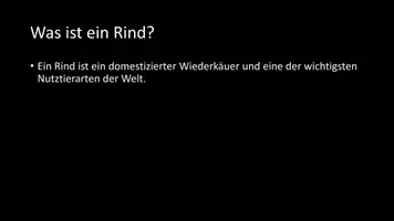 Vorschau - Arbeitsblätter - AB mit Fragen zum Thema "Rinder" + Lösungsblatt + Infografik - Seite 3
