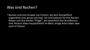 Vorschau - Arbeitsblätter - AB mit Fragen zum Thema "Rochen" + Lösungsblatt - Seite 2