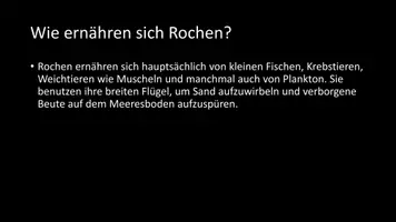 Vorschau - Arbeitsblätter - AB mit Fragen zum Thema "Rochen" + Lösungsblatt - Seite 3