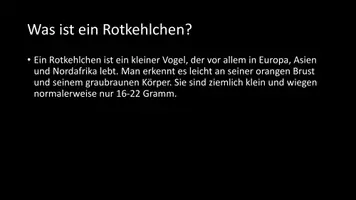 Vorschau - Arbeitsblätter - AB mit Fragen zum Thema "Rotkehlchen" + Lösungsblatt - Seite 2