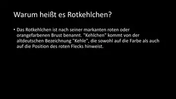 Vorschau - Arbeitsblätter - AB mit Fragen zum Thema "Rotkehlchen" + Lösungsblatt - Seite 3