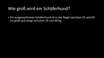 Vorschau - Arbeitsblätter - AB mit Fragen zum Thema "Schäferhunde" + Lösungsblatt - Seite 3