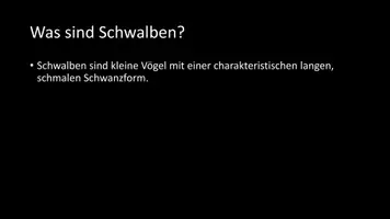 Vorschau - Arbeitsblätter - AB mit Fragen zum Thema "Schwalben" + Lösungsblatt + Infografik - Seite 3
