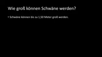 Vorschau - Arbeitsblätter - AB mit Fragen zum Thema "Schwäne" + Lösungsblatt - Seite 2